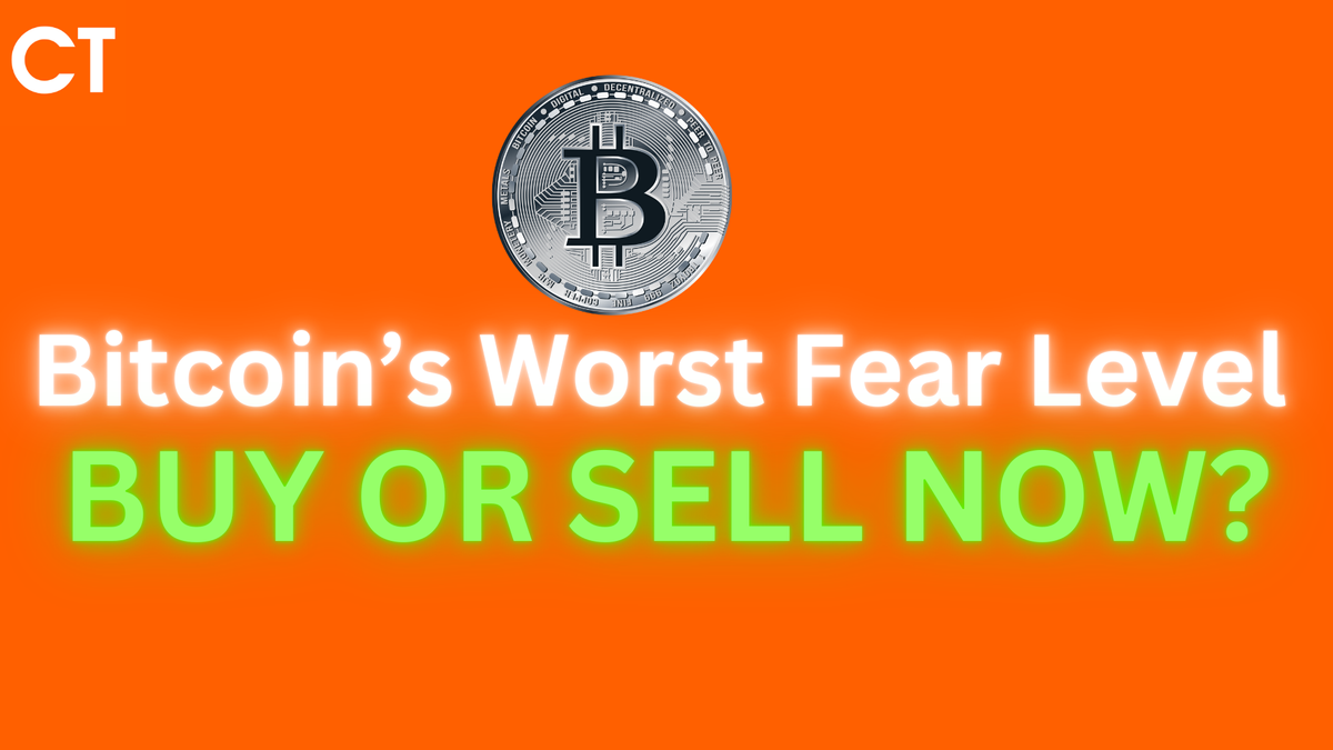 Bitcoin’s Worst Fear Level Since 2024—Buy or Sell NOW?