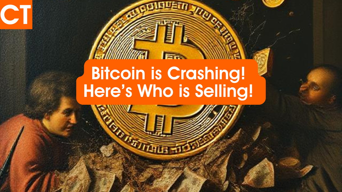 Bitcoin is Crashing! Here’s Who is Selling! and Why!